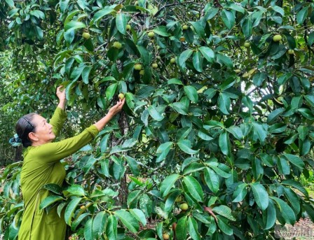 bất động sản toàn quốc