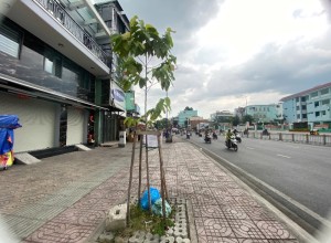 Cho thuê nhà mt Tên Lửa, Bình Tân, 10x20m, 45 triệu