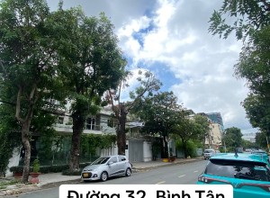 Bán đất đường số 32, Bình Tân khu Ao Sen Tên Lửa, 10x25m, gần Aeon