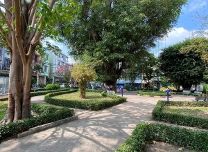 Bán nhà khu Biệt Thự Lương Thế Vĩnh, quận Tân Phú, 4.4x16m