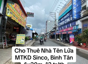 Cho Thuê Nhà MtKD Sinco, Bình Tân khu Tên Lửa, 12 triệu