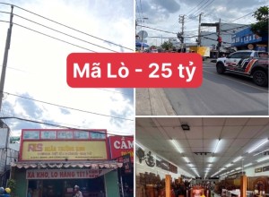 Bán nhà MTKD Mã Lò, Q Bình Tân - 8.2x30m - 1 tầng