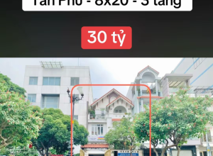 Bán nhà MTKD Lê Thúc Hoạch, P Phú Thọ Hoà, Q Tân Phú - 8x20m - 3 tầng