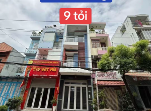 Bán nhà MTNB Trần Thủ Độ, Q Tân Phú - 3.5x17m - 2 tầng - 9 tỷ